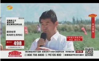 大漠直播在线观看,穿越沙漠的视觉盛宴