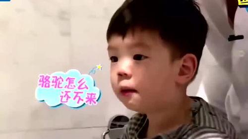 嗯哼大爆料视频,揭秘视频背后的惊人真相